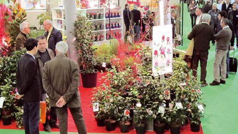Le Salon du végétal, à Angers, s'est déroulé dans une ambiance qui permet d'envisager la saison qui arrive sereinement.
