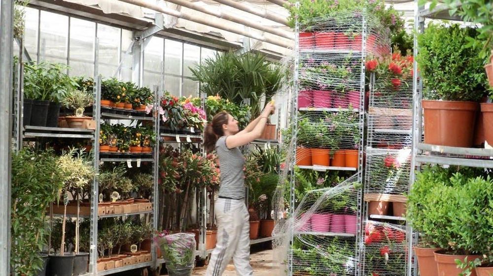Les partenaires sociaux (employeurs et salariés) s'engagent autour du pacte de responsabilité pour développer et valoriser les emplois en agriculture.