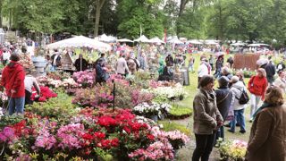 Environ 30 000 personnes ont été comptabilisées. Certaines n'étaient pas vraiment venues pour voir les plantes. Mais le mélange des visiteurs du château et de la manifestation a insufflé une nouvelle dynamique. Environ 30 000 personnes ont été comptabilisées. Certaines n'étaient pas vraiment venues pour voir les plantes. Mais le mélange des visiteurs du château et de la manifestation a insufflé une nouvelle dynamique.