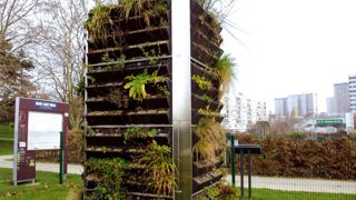 À Bagnolet (93), des modules de murs végétaux permettent de tester une centaine d'espèces végétales autochtones afin de diversifier la palette couramment employée pour ce type d'aménagement.