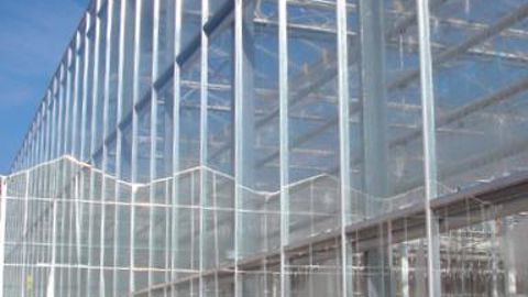 Le dispositif d'aide aux investissements de la « circulaire serres » a été arrêté.