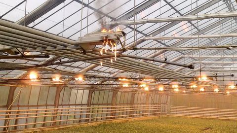 Incendie naissant sur un éclairage d'assimilation vétuste : la chute de gouttes et de débris enflammés depuis le boîtier en plastique est bien visible.GARTENBAU-VERSICHERUNG