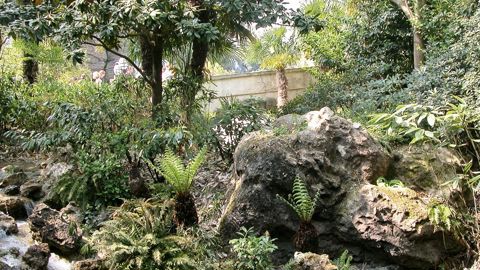 Le parc de Disneyland Paris. Les membres de la FNPHP y effectueront une visite guidée le vendredi matin, au deuxième jour de leur congrès.