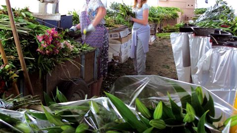 Pour Vivea, l'égalité des chances d'accès à la formation pour les femmes nécessite de comprendre et de prendre en compte la place et l'impact des rôles entre hommes et femmes dans une entreprise.PHOTO : VALÉRIE VIDRIL