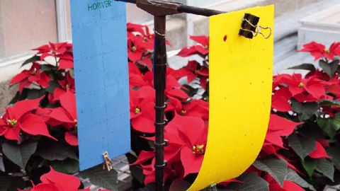 Le projet Dephy vise à diminuer l'utilisation des pesticides en production.