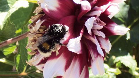 PHOTO : VALÉRIE VIDRIL