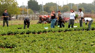 Élèves, enseignants et professionnels attendent une pédagogie ancrée dans les réalités professionnelles et au fait des évolutions économiques et technologiques.