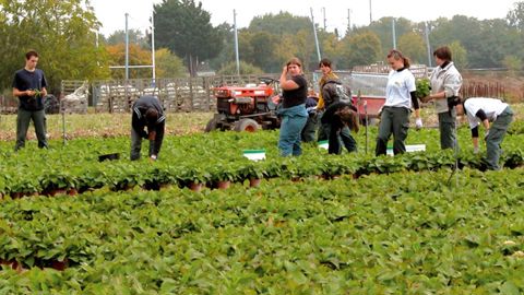 Élèves, enseignants et professionnels attendent une pédagogie ancrée dans les réalités professionnelles et au fait des évolutions économiques et technologiques.