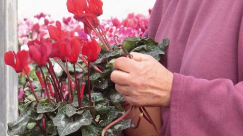 Plus de deux tiers des chômeurs habitant en zone rurale ou périurbaine seraient prêts à se former pour cumuler des emplois dont un agricole, et la moitié à se reconvertir dans un métier agricole.