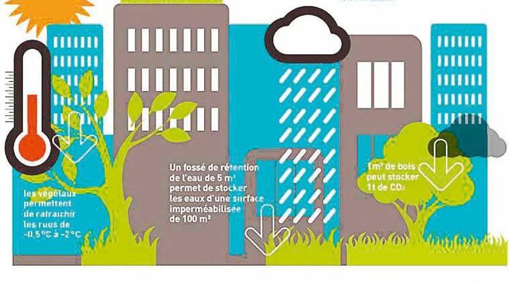 PHOTO : UNEP PHOTO : UNEP