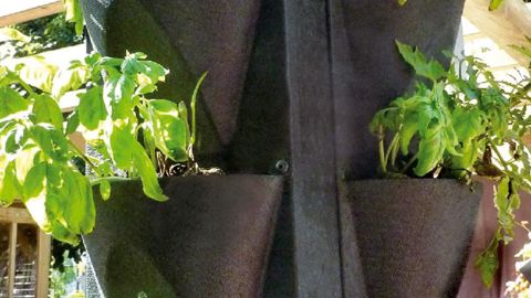 PHOTO : PIERRE-ALEXANDRE RISSER