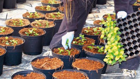 L'alternance formation/entreprise est un atout dans les formations par apprentissage. Pourtant, l'initiation des plus jeunes, la mise en oeuvre du « bac pro 3 ans », la transparence de l'utilisation de la taxe, l'adaptation à la fonction publique et le nombre d'entreprises d'accueil doivent encore être adaptés ou améliorés pour une satisfaction à tous les niveaux.