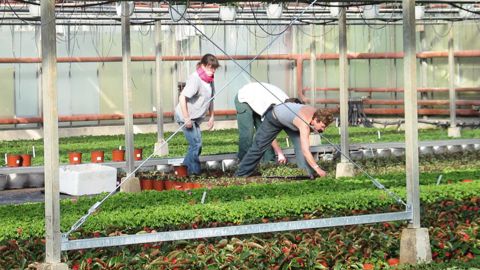 La démarche du Maine-et-Loire intègre un livret avec un calendrier annuel des travaux saisonniers, un rappel de la réglementation et une carte des emplois saisonniers agricoles locaux.PHOTO : CDA 49