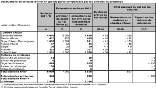 Destructions de céréales d'hiver en grande partie compensées par les céréales de printemps. Cliquer pour agrandir.