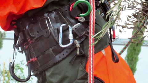 Pour une sécurité maximale, la MSA prévoit la mise en place d'actions lors du championnat national des arboristes grimpeurs.