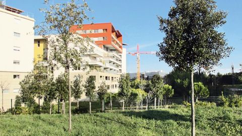 Les trames vertes urbaines ont unedouble vocation : restaurer la biodiversitéfonctionnelle à l'échelle d'un territoireet améliorer le cadre de vie... Elles ontdonc un impact sur la santé ! Les trames vertes urbaines ont unedouble vocation : restaurer la biodiversitéfonctionnelle à l'échelle d'un territoireet améliorer le cadre de vie... Elles ontdonc un impact sur la santé !