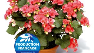 Un message clair et simple pour un label certifiant l'origine française et un produit de haute qualité.