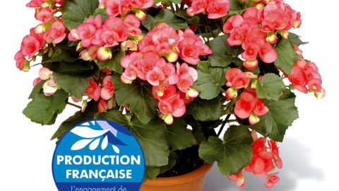 Un message clair et simple pour un label certifiant l'origine française et un produit de haute qualité.