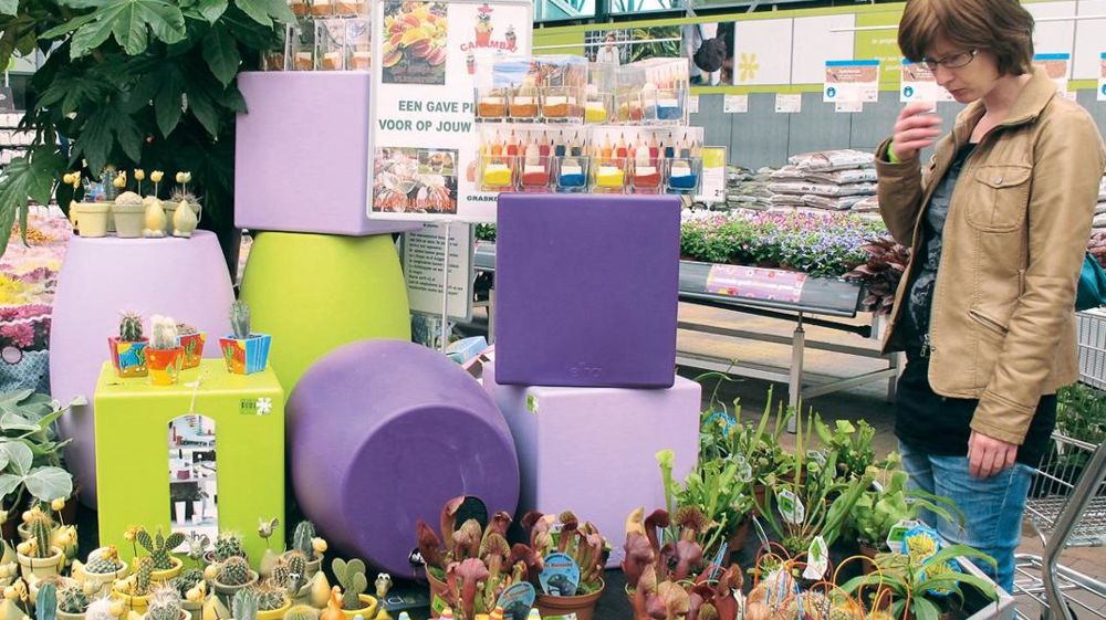La couleur est un critère déterminant en matière d'achats de végétaux pour 27 % des « shoppeuses », selon l'enquête Toluna pour le Women's Garden Executive Club.PHOTO : ODILE MAILLARD La couleur est un critère déterminant en matière d'achats de végétaux pour 27 % des « shoppeuses », selon l'enquête Toluna pour le Women's Garden Executive Club.PHOTO : ODILE MAILLARD