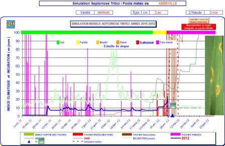 Simulation septoriose en Picardie. Cliquer pour agrandir.