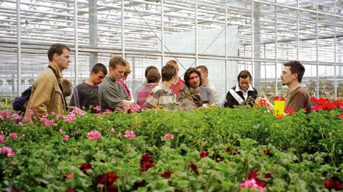 Échanges, stages, séjours linguistiques, voyages d'études, visites d'entreprises sont plébiscités et doivent être soutenus pour permettre l'acquisition d'une langue étrangère réellement utilisable ensuite dans un contexte professionnel.