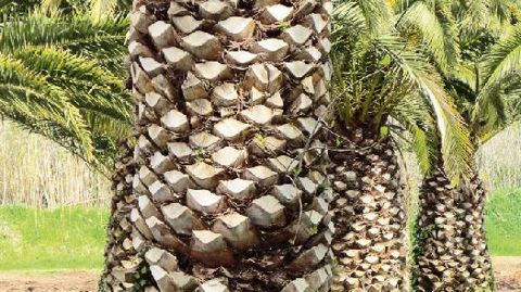 PHOTO : VALÉRIE VIDRIL