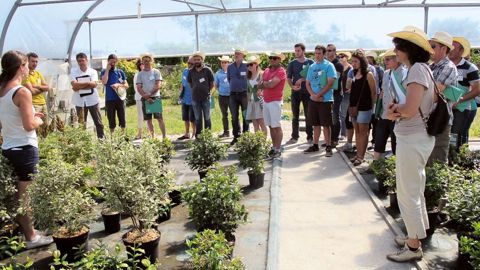La journée organisée par Astredhor Sud-Ouest GIE Fleurs et plantes a attiré un nombre record de professionnels. Ici, un groupe attentif aux explications d'Anthony Droui et Fanny Bellec sur les plantes de services.