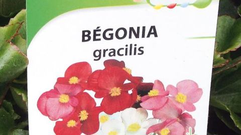 Julie, personnage fictif de 35 ans, angevine, passionnée de jardinage, de cuisine et de décoration, a « pour mission » de séduire une clientèle plus jeune, et plus précisément les femmes de 25 à 45 ans.