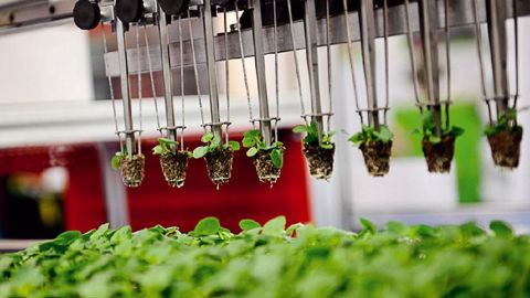 Avec des coûts en hausse et des recettes en baisse, les organisateurs d'Horti Fair n'auraient plus la possibilité d'assurer l'édition 2013.PHOTO : HORTI FAIR