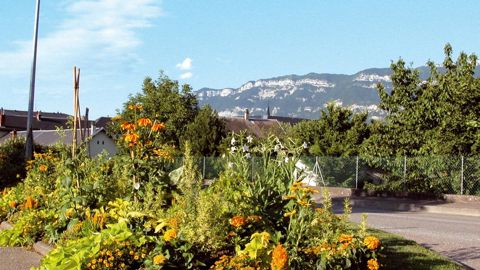 Le CNWF fait un nouveau pas vers l'harmonisation des jurys de fleurissement avec la sortie du son guide méthodologique d'organisation des jurys et du label.