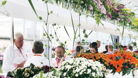 Les Flower Trials® sont l'occasion de présenter des essais variétaux, de lancer des nouveautés, de réunir l'amont de la filière ornementale, mais aussi d'offrir un lieu d'échanges et d'affaires, comme ici, cette année, chez Fides qui vient d'intégrer le groupe Dümmen Orange.