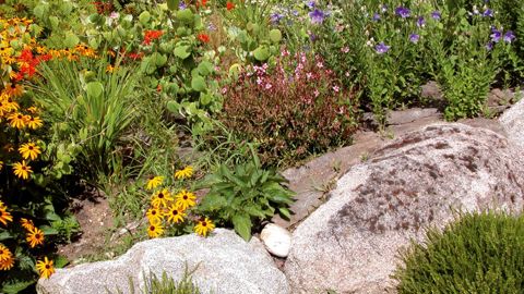 PHOTO : PASCAL FAYOLLE