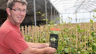 « Notre nouveau concept permet une présentation impeccable des plantes en jardinerie, tout en préservant la santé de nos salariés », explique Xavier Lavedeau, gérant de l'entreprise Cerdys-Lavedeau. « Notre nouveau concept permet une présentation impeccable des plantes en jardinerie, tout en préservant la santé de nos salariés », explique Xavier Lavedeau, gérant de l'entreprise Cerdys-Lavedeau.