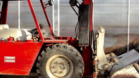 PHOTO : ODILE MAILLARD