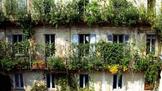 Nature verticale à Milan : un des nombreux exemples mis en avant par l'exposition pour illustrer la recherche de nature des habitants des villes.PHOTO : RENATO GRISA/CITÉ DE L'ARCHITECTURE ET DU PATRIMOINE Nature verticale à Milan : un des nombreux exemples mis en avant par l'exposition pour illustrer la recherche de nature des habitants des villes.PHOTO : RENATO GRISA/CITÉ DE L'ARCHITECTURE ET DU PATRIMOINE