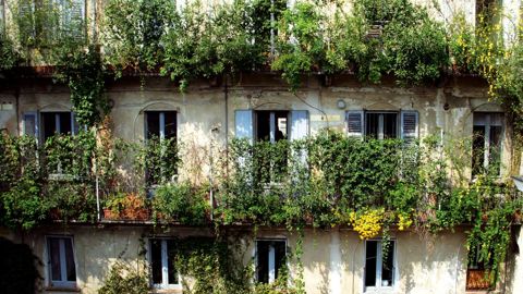 Nature verticale à Milan : un des nombreux exemples mis en avant par l'exposition pour illustrer la recherche de nature des habitants des villes.PHOTO : RENATO GRISA/CITÉ DE L'ARCHITECTURE ET DU PATRIMOINE