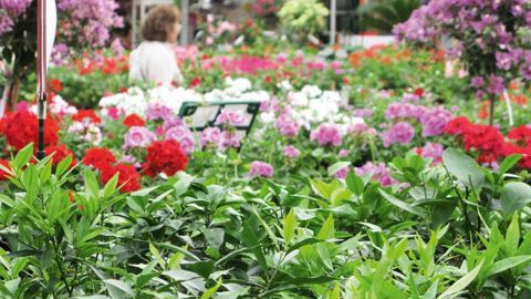 Un ERP qui n'a pas été mis en accessibilité au 1er janvier 2015 doit fournir un Agenda d'accessibilité programmé sur trois ans (Ad'Ap) avant le 27 septembre.