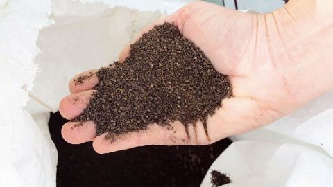 PHOTO : VALÉRIE VIDRIL