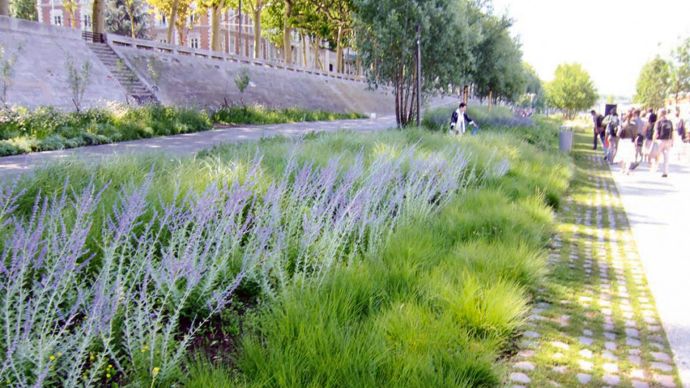 La volonté de partage entre la FNCAUE et Plante & Cité s'est également illustrée par le lancement d'un nouveau site Internet : nature-en-ville.com