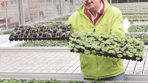 La rencontre avec un chef d'entreprise ou un responsable de production, ici Hans Keller, installé en Allemagne, permet aux formateurs comme aux apprenants de mieux comprendre la complexité de la filière, d'appréhender l'entreprise en ayant une vision plus large dans un contexte spécifique.