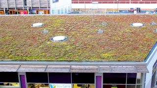 Comment faire vraiment décoller le marché des toitures végétalisées en France ? Une table ronde est organisée sur ce thème mardi 17 mai prochain à Paris.