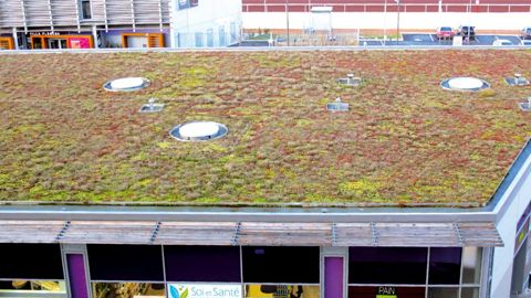 Comment faire vraiment décoller le marché des toitures végétalisées en France ? Une table ronde est organisée sur ce thème mardi 17 mai prochain à Paris.