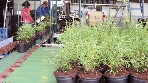 En cas de difficulté, la MSA peut proposer des solutions. Mieux vaut anticiper et contacter sa caisse avant de se retrouver dans l'impasse financière...