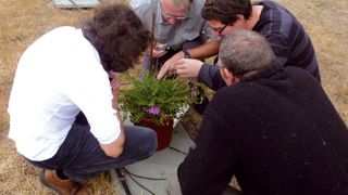 En Pays de la Loire, les observateurs du réseau d'épidémiovigilance bénéficient de formations sur la reconnaissance des ravageurs et des auxiliaires.PHOTO : NOÉMIE JACQUEMIN, FREDON-PAYS DE LA LOIRE