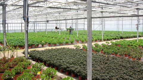 Parmi les 550 exploitations étudiées, la moitié aura à gérer un départ à la retraite d'ici 2020, avec la difficulté majeure de trouver un repreneur apte à manager.PHOTO : ARPHO