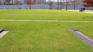 Le prix des semences de graminées à gazon va augmenter sous la pression de la flambée des prix agricoles. Ce n'est pas une raison pour utiliser des variétés de mauvaise qualité : le prix de la semence influe peu sur le prix d'une pelouse.