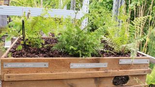 « Le collectionneur de l'ombre » a reçu le Prix du « Design et des idées novatrices ».