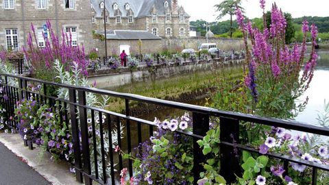 L'ARF Centre veut tordre le cou à l'idée reçue que le fleurissement est cher en apportant à la question des coûts des réponses précises.