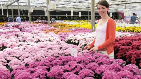 « Ma mission consiste à optimiser l'usage des informations générées dans le processus de la sélection. Il s'agit d'aider à enregistrer et tracer les croisements, et que chacun ait le même outil, utilisable sur tablette numérique par exemple », explique Lucie Cardon, Business Analyst R&D chez Dümmen Orange, à De Lier, aux Pays-Bas.