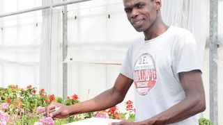 Thierno Sy suit le bon déroulement des essais. Il partage son temps entre les serres et le bureau, où il enregistre ses interventions et rédige des synthèses.